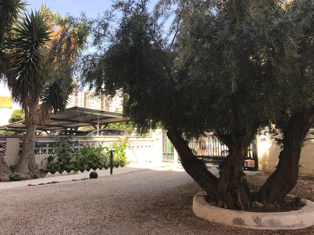 Apartamento En La Playa - Alicante, Costa Blanca - Los Olivos Eksteriør billede