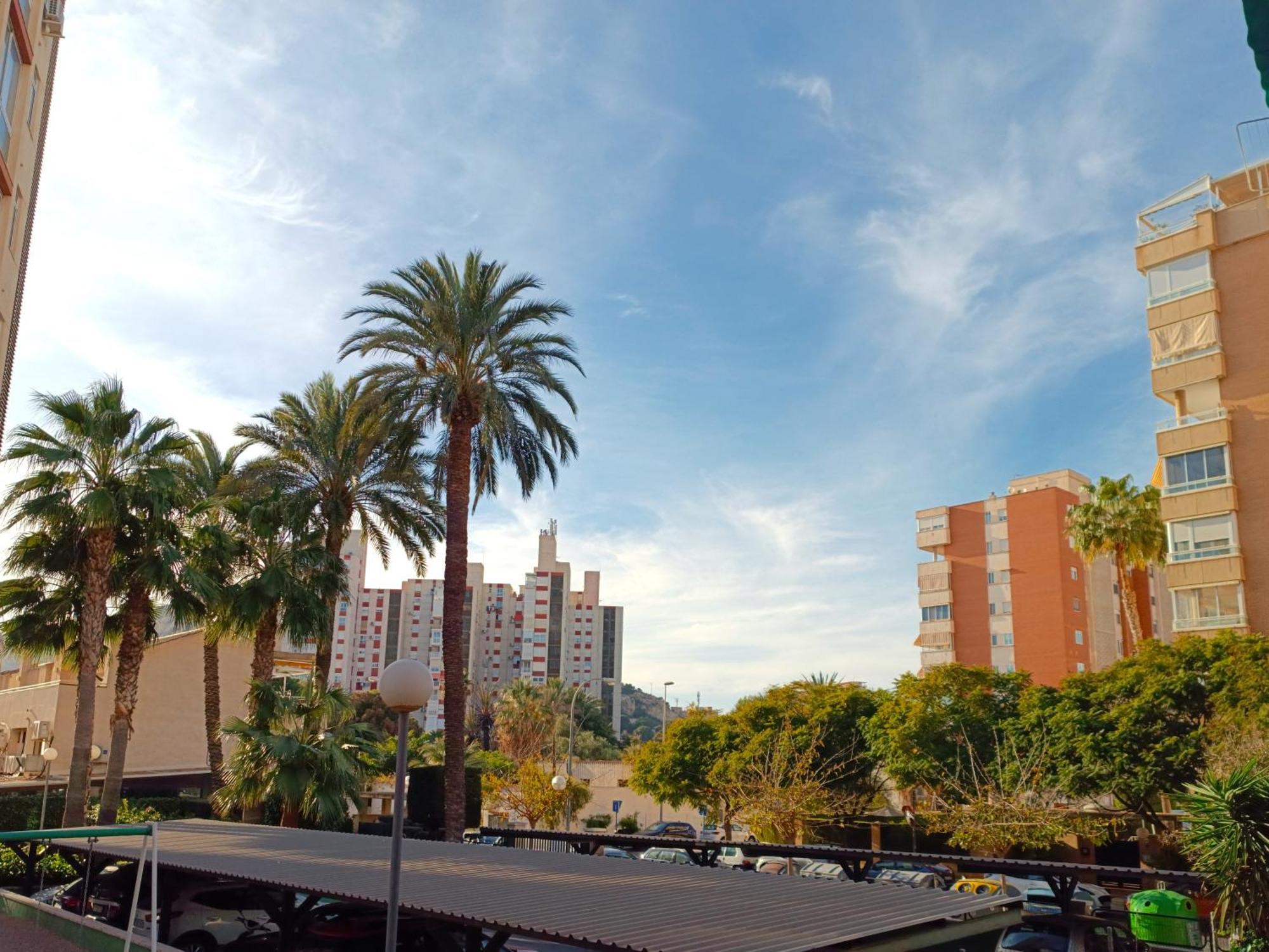 Apartamento En La Playa - Alicante, Costa Blanca - Los Olivos Eksteriør billede