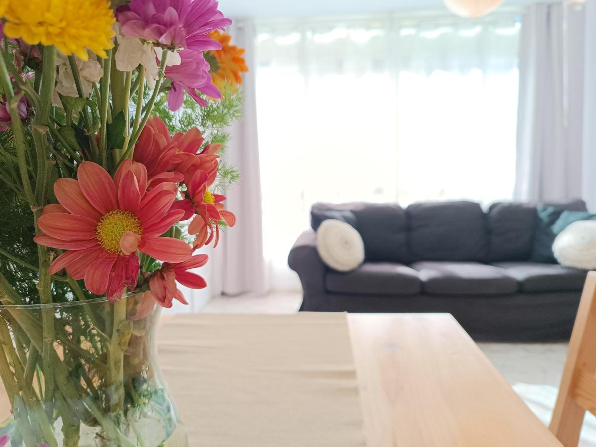 Apartamento En La Playa - Alicante, Costa Blanca - Los Olivos Eksteriør billede